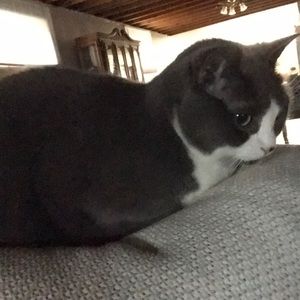 Meet your Posher, Rosetta